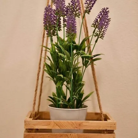 La Rosa Dei Venti Alassio