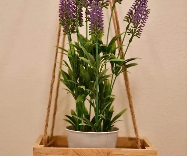 La Rosa Dei Venti 알라시오