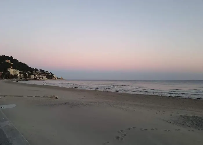 La Rosa Dei Venti Bed and breakfast 3*